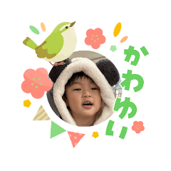 takataka_20260303095908