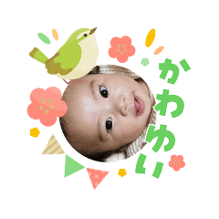 ETSUYO_20260303103258