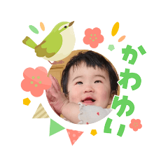 nnnnnn_20260303123635