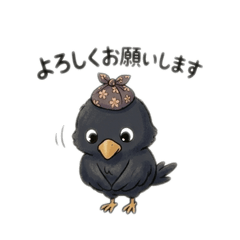 Fumina_20260303124402