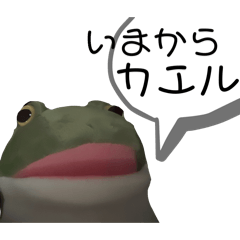 macchann_20260303135607