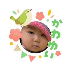 yuzu_20260303140255