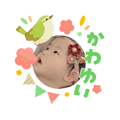 Topcha_20260303111556
