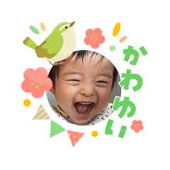 kane_ko_20260303111918