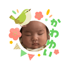 sayuri_20260303112057