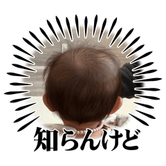 coconana_20260303112919