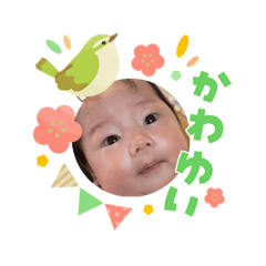 namiko_20260303133958