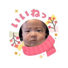 imoko_20260303133829