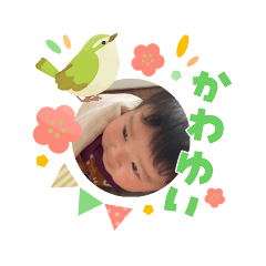 chiruru_20260303134304