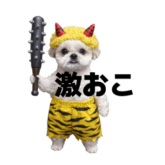 hacchi_20260303134448