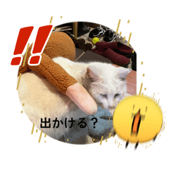 yutoompmgmg