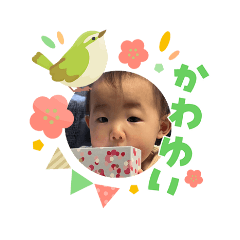 CHIYOMI_20260303122803