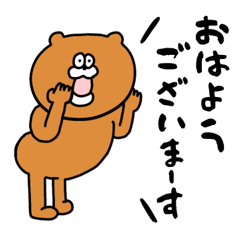bearbear.b