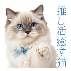 Ragdoll Cat Heals Fandom Fatigue