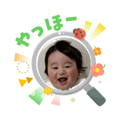 Koki 6month