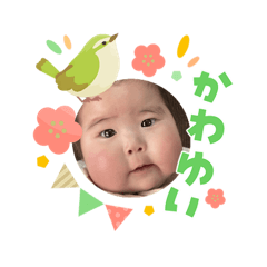 Yagiwo_20260303131134