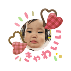 ochacha_20260303132646