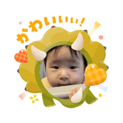 imoko_20260303133429