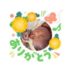 runa_20260303144312sui