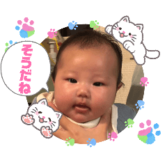 kazekaoru_20260228120154
