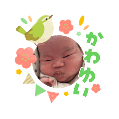 koromoti_20260303145246