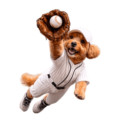 royalmilktea_20260228110725