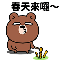 Springtime Bear Moments