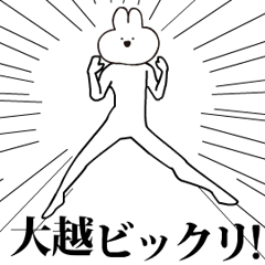 Rabbit Name ookoshi.moves!