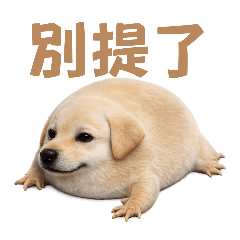 我的刀盾 但是拉布拉多