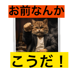 クレイジーワイルドに生きる猫