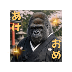 hisato_20260228194139