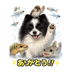 Rain.Grain_20260228182409