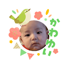 burrito_20260303152835