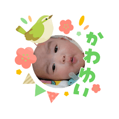 Mina_20260303152726