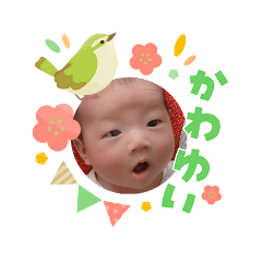 nozomi_20260303163218