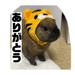 miyuu_20260303153857