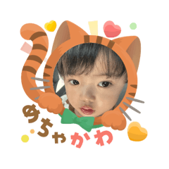 motoshi_20260303160834