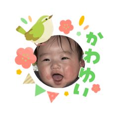 connyaku_20260303180544