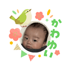 chitose_20260303181117