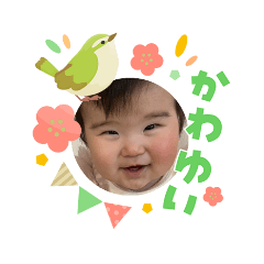 hirokuma_20260303171020