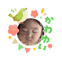 KAYOMASU_20260303170411