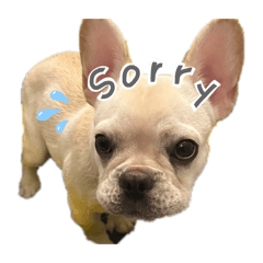 sorairo_20260303172244