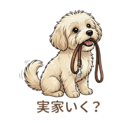 ocome_20260303173250