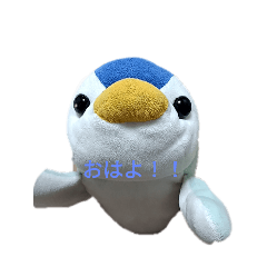 ayano_20260301002330