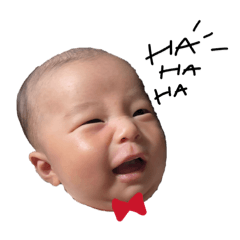 momo_20260303175200