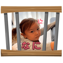 rei_20260303201021
