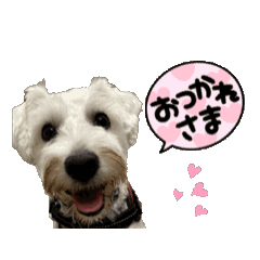 Popomi_20260303202903