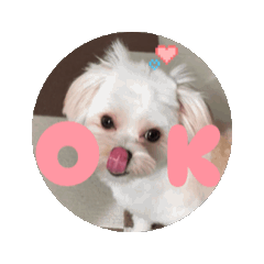 yukichi_20260303220703