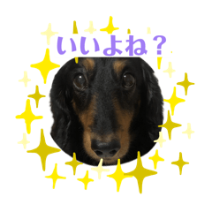 Takana_20260303184636