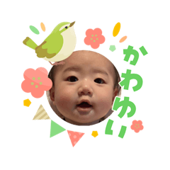 mayu_20260303202326